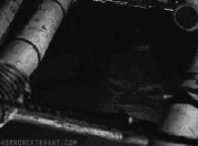 The Creature From Black Lagoon 1954 GIF - The Creature From Black Lagoon 1954 GIFs
