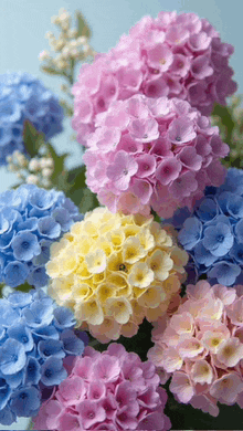 a bunch of pink yellow and blue flowers on a table