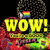 a poster that says wow you 're a good kisser with fireworks in the background