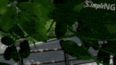 a yellow car is driving down a road with simpleng written on the bottom right