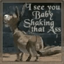 Shake That Ass Donkey GIF - Shake That Ass Donkey Shrek GIFs