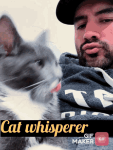 Cat Whisper GIF - Cat Whisper Catdad GIFs