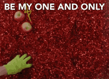 Be My One And Only Covering GIF - Be My One And Only My One And Only Covering GIFs