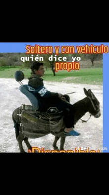 Burro!!! - Meme by XxPauloxX :) Memedroid