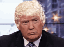 Trump Trumphair GIF - Trump Trumphair Majestic GIFs