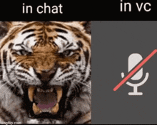 a picture of a tiger with its mouth open next to a picture of a microphone with a red line through it .