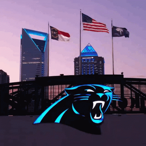 Carolina Panthers Flag 3x5