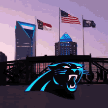 Carolina Panthers Flag GIF - Carolina Panthers Flag Football GIFs