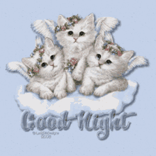 Night Good Night GIF - Night Good Night Kitten GIFs