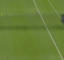 a tennis player reaches for a tennis ball on the grass
