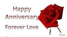 a red rose with the words happy anniversary forever love written below it