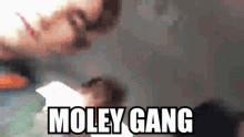 Moley Gang Moley GIF - Moley Gang Moley Squillz GIFs