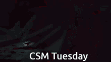 Csm Csm Tuesday GIF - Csm Csm Tuesday Chainsaw Man GIFs