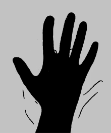 Black White GIF - Black White Palms GIFs