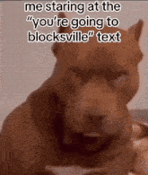 Blocksville Your Blocked GIF - Blocksville Your Blocked Qazira GIFs