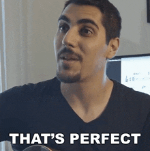 That'S Perfect Rudy Ayoub GIF - That'S Perfect Rudy Ayoub That'S Excellent GIFs