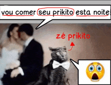 a cat wearing a bow tie and a speech bubble that says ze prikito