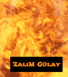 a picture of a fire with the name zalim gulay