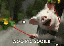 Happy Pig GIF - Happy Pig Excited GIFs
