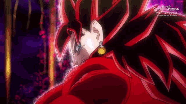 vegetto-xeno.gif