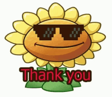 Thank You Sunflower GIF