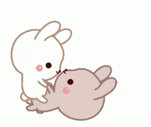 Bunnies Jump On Top Of You GIF - Bunnies Jump On Top Of You So In Love GIFs