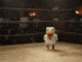 a toy chicken is standing on a wooden floor in a boxing ring .