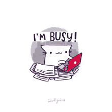 im busy working typing cat