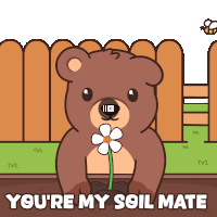 a cartoon of a bear holding a flower with the words you 're my soil mate below it