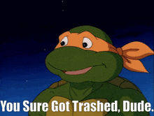 a picture of a teenage mutant ninja turtle that says you sure got trashed dude