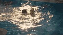 a man and a woman are swimming in a swimming pool
