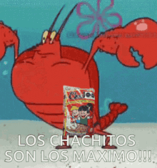 Lo Maximo Larry GIF - Lo Maximo Larry Chachitos GIFs