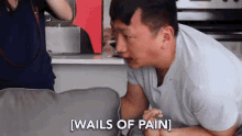 Pain In Pain GIF - Pain In Pain It Hurts GIFs