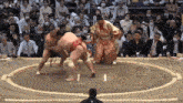 kiribayama sumo acrobatic fall silly