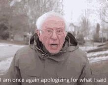 Bernie Sanders GIF