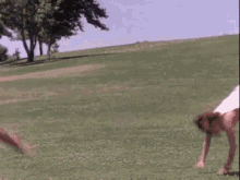Power Rangers Power Yes GIF - Power Rangers Power Yes Fight GIFs