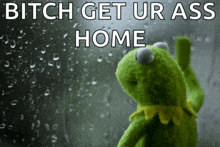 kermit the frog looking out a window with the words " bitch get ur ass home " below him