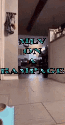 Mlvrampage GIF - Mlvrampage GIFs
