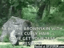Gorilla Brown With Curly Hair GIF - Gorilla Brown With Curly Hair Test Result GIFs