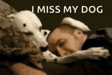 i miss you puppy gif