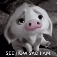 Pig Sad GIF - Pig Sad Frown GIFs