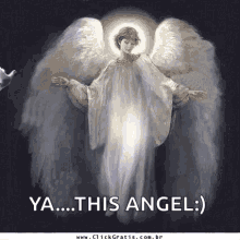 anjos anjo angelical pomba