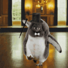 Penguin Dancing GIF - Penguin Dancing Dance GIFs