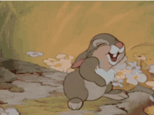 Funny Laughing GIF - Funny Laughing Bunny GIFs