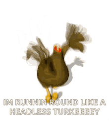 headless chicken run running