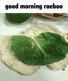 Good Morning Raeboo GIF - Good Morning Raeboo Good Morning Rae GIFs