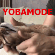 Yoba Tv Yobamode GIF - Yoba Tv Yobamode GIFs