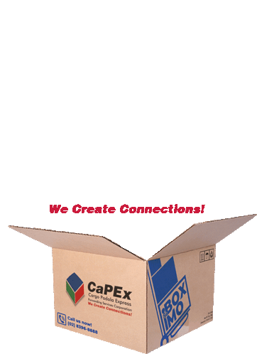 Capex Cargo Sticker - Capex Cargo Delivery Stickers