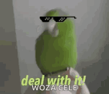Deal With It Bird GIF