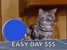 Cats Funny GIF - Cats Funny Table GIFs